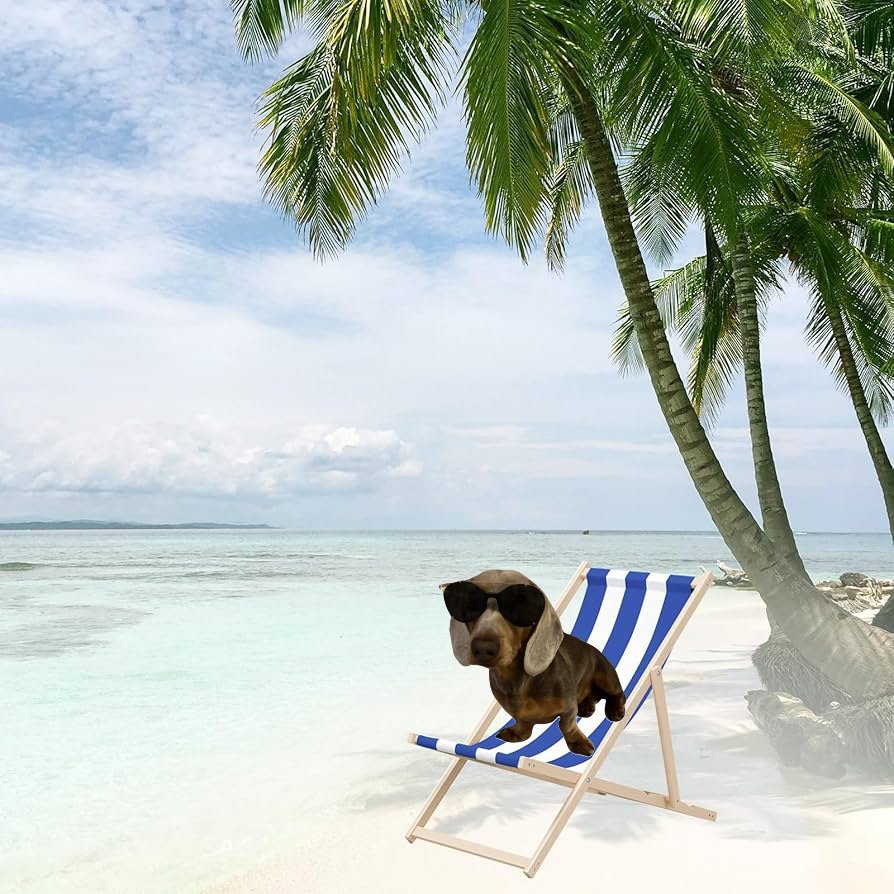 Oscar Dog tweet media