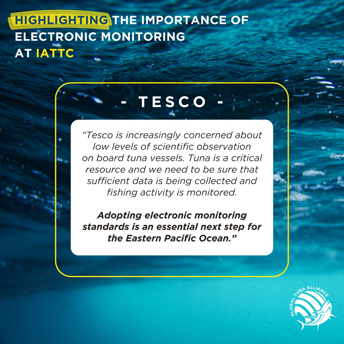 In anticipation of IATTC next week, we will be sharing a series of market statements from our dedicated partners, underscoring just how important EM standards are to the tuna industry.

To read more, visit globaltunaalliance.com/iattc-2024

#IATTC #ElectronicMonitoring #SustainableTuna