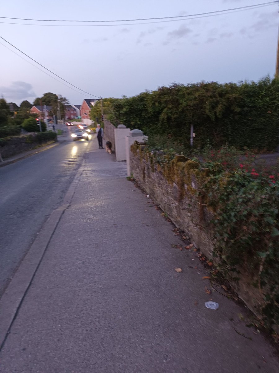 WildersLiz's tweet image. #Day338 of #Day1331
#100daysofwalking #300daysofwalking 
 #round4crew  #MentalHealthAwareness #Kildare 
#August 
Very mild evening after a lovely sunny day☀️
