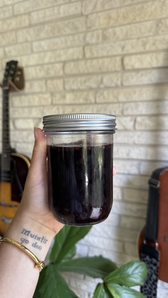 Rehydrating elderberries to make homemade elderberry &amp; wild blueberries jam. It’s one of my favorite ways to strengthen immunity and prevent illness. 🤧