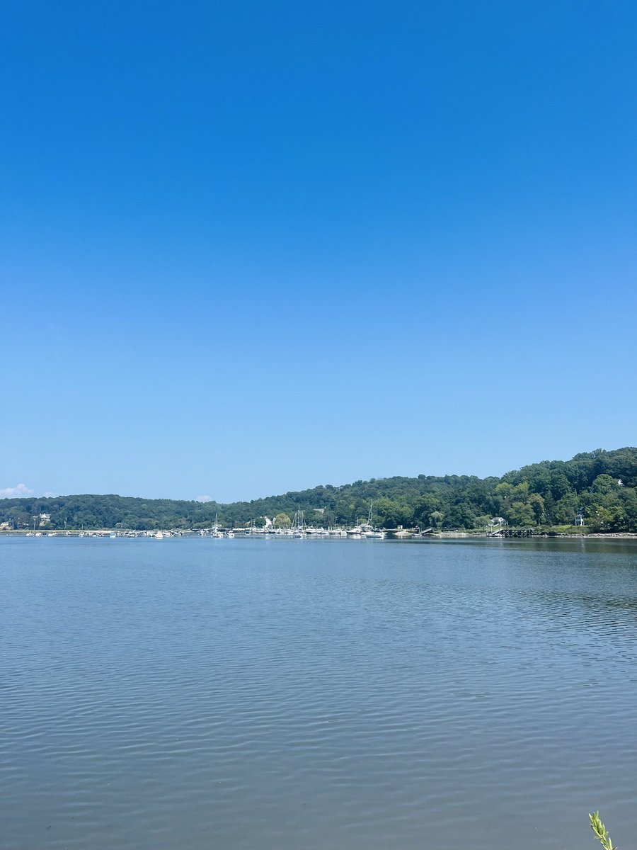 Kate Warde, PhD tweet media