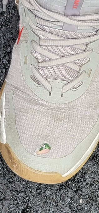 Peekaboo 😘 Labor day weekend is this wknd n these sneaks r ready to find a new good home 🤭 highest bidder<a href="/tag/nationaldogday"class="tags"><span>#nationaldogday</span></a>