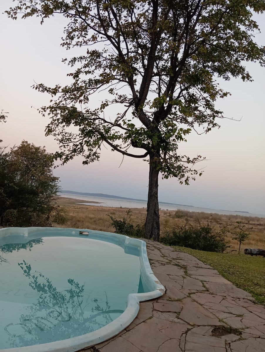 KelvinMotsi1's tweet photo. Always something to smile about #Zimbabwe #Discoverzimbabwe 
@Gary161718 
@KellySamakande 
@HandeiZimbabwe 
@AdventuresRoyal 
@chiefkoti 
@MOTHI_ZIMBABWE https://t.co/jdxYGXE3Vi