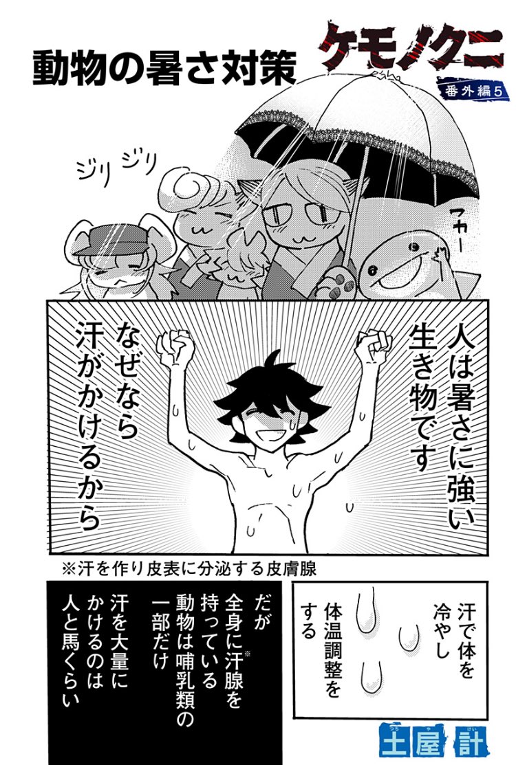 ケモノクニは番外編です✨  #ケモノクニ #少年ジャンプ+ 全話無料⬇️ 