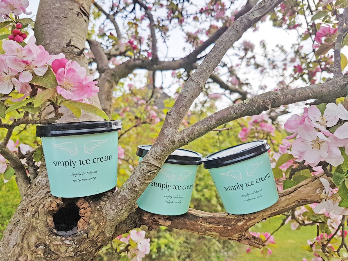 A throwback to our little ice cream pots hiding in the blossom trees at @brogdale_collections! 🌸

#brogdalefarmfaversham #brogdalefarm #appleblossom #blossom #blossomtrees #simplyicecreamkent #luxuryicecream #NaturalIceCream