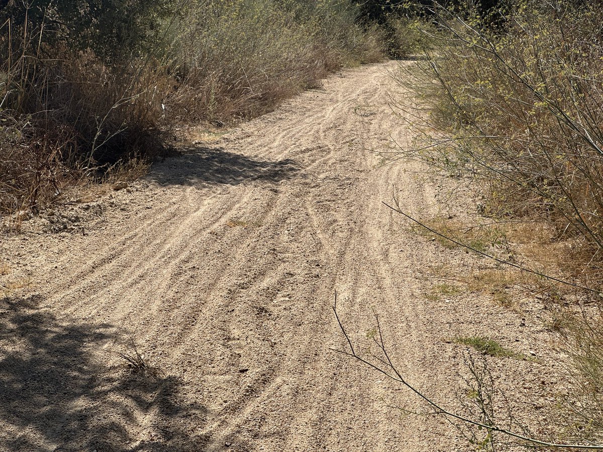 Andre_AMUMOT's tweet photo. Tag 5 

Ich bin auf dem Bahntrassenradweg Ramal de Mora unterwegs. die Strecke ist schon ziemlich rustikal. Gut wenn man ein Mountainbike hat, je breiter die Reifen desto besser. https://t.co/Y2PLitOXY6