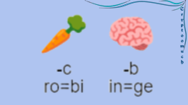 Kolyanych 🌱 tweet media