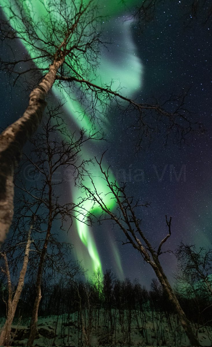 Juanjo a Tromsø 🇳🇴 tweet media