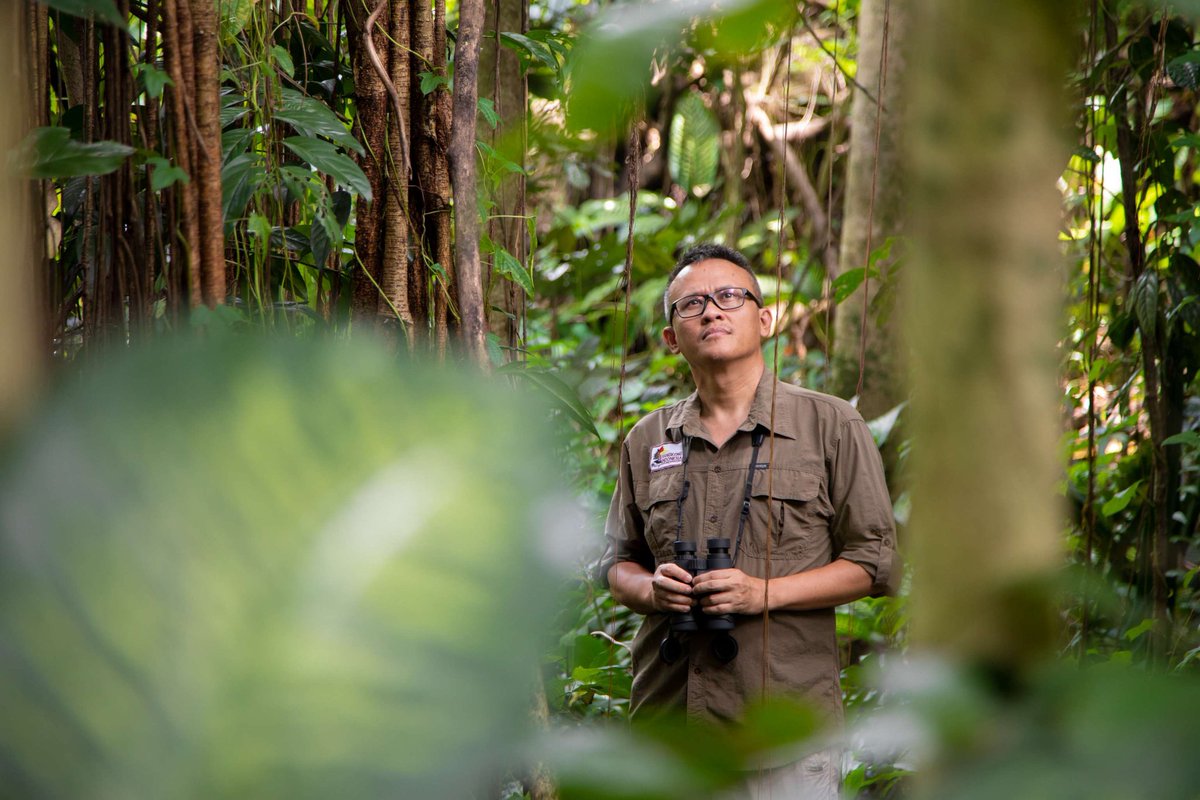 🚨 Whitley Fund for Nature 🚨

Applications are open for the #WhitleyAwards. The fund supports #GrassrootsConservationist working in the Global South. Apply now for a chance to win £50,000 in funding &amp; global recognition. Deadline: Oct 31st. Apply here: amphibians.org/news/empowerin…