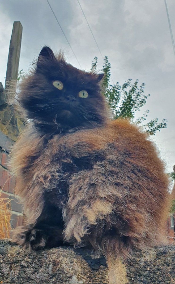 dan barker tweet media