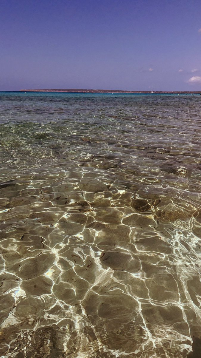 CorradoCiotti's tweet image. @Formentera 2024