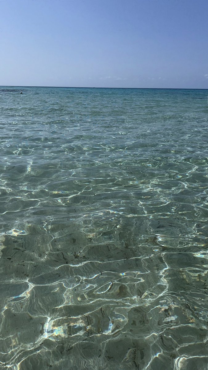 CorradoCiotti's tweet image. @Formentera 2024