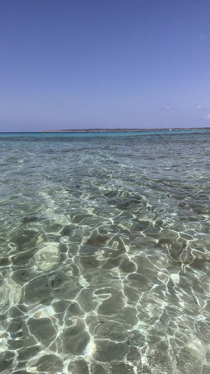 CorradoCiotti's tweet image. @Formentera 2024