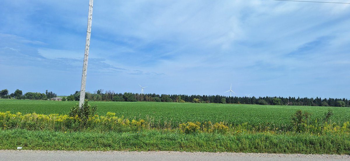 Devin Homick tweet media