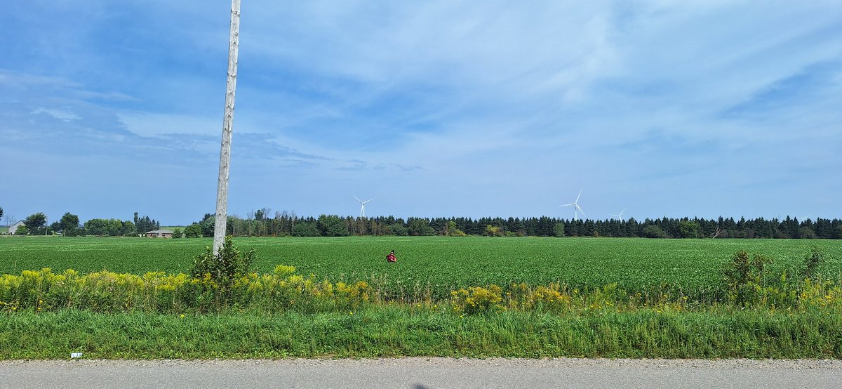 Devin Homick tweet media