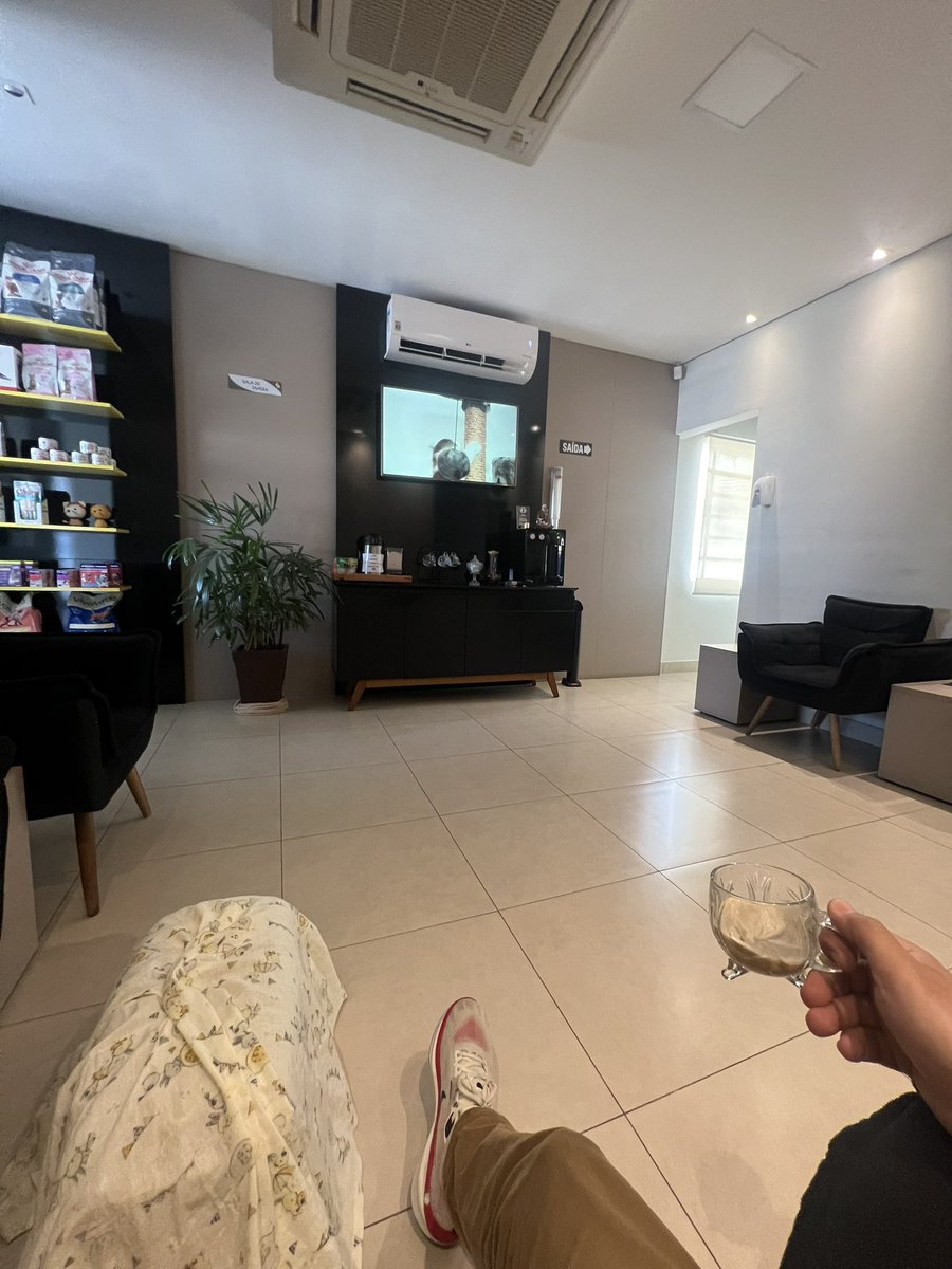 Estou no copa dor felino