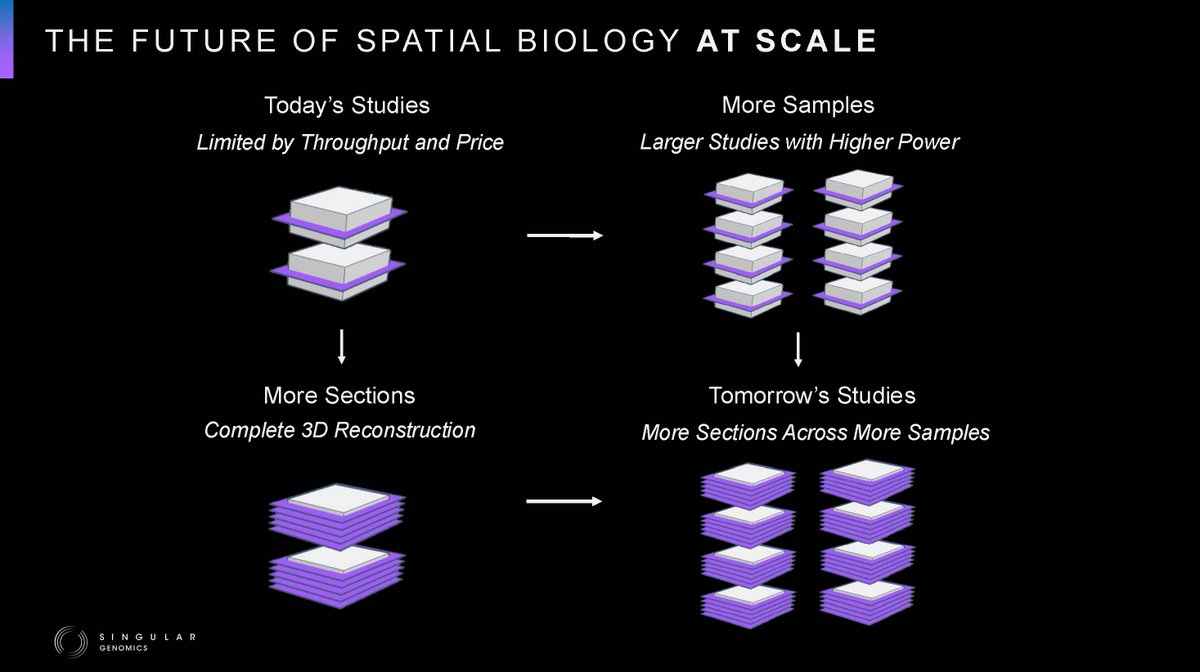 SingularGenomic's tweet image. Researchers are aiming to perform spatial multiomic studies at scale for applications like 3D-tissue mapping, AI-training, and to power larger translational studies. High-throughput, cost-effective solutions will be crucial to enabling this next wave of innovation.