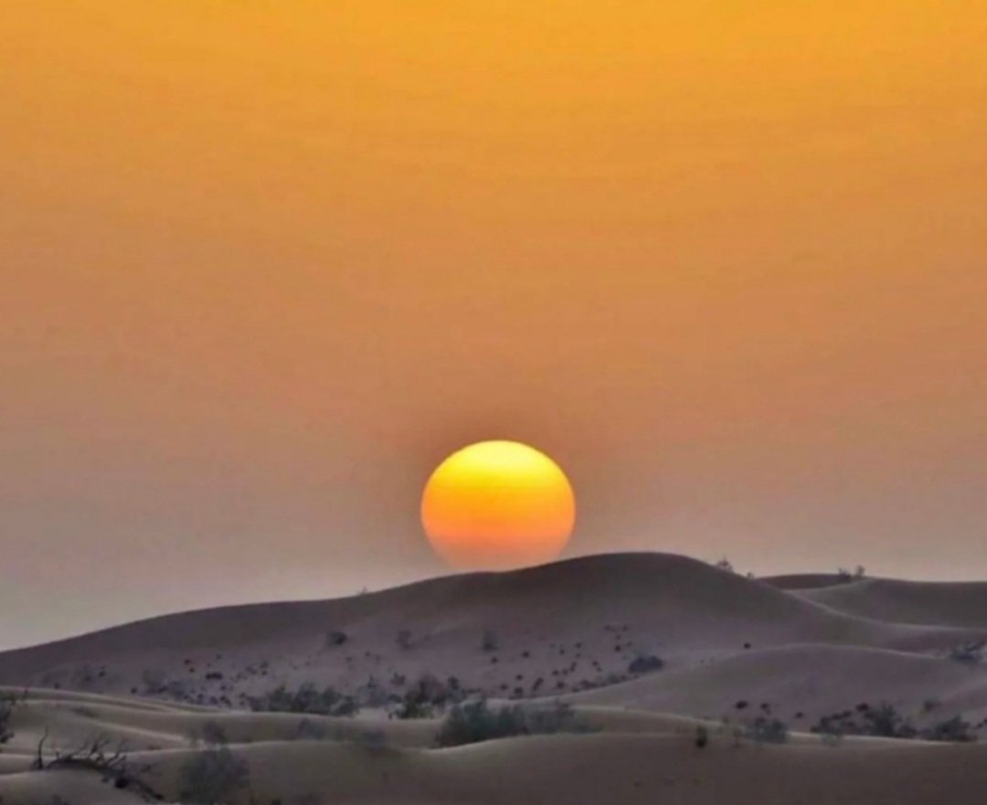HDeaij's tweet photo. من(قديم..نديم) والله المستعان..
"ياغرام فات"
ياغرام فـــات في عصر مــضــى/
 مع عشيرن حاوي عودن غضيض
ياحســــــايف حبنا عقــبه قضى/ 
والفواد اصبح على همـــــه مريض
من سنين يجتلــــــد فوق اللظـــى/
من سبايب صاحبن شعــره قضيض
باسحــــابة صيف يابرق نضــــــــا/
يا غـــدير في ثــــرى وادي عريض
الشفايا كنها جمـــــر الغضــــــا/ 
 والثنايا تـقـل سـيــل فـي مفيض
والعيون اللي كمــــــا نجم الفضــــا/
في ليال داجـيـه تـغـمـض غميض
ياعـــــــيون الليل ياعــــــين الرضا/ 
ذكّرتني بك نخــــــــــيلات المقيض
دوك قلبي يا عشـــــــيري ما اقتضى/
منوته يشفى عقب ماهـــــو مريض
*****************
 حمد الدعيج
"نديم كميت"