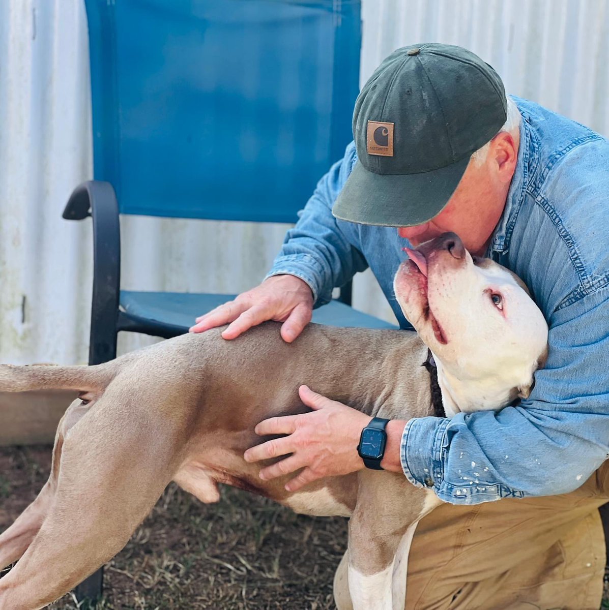 ash__almighty's tweet image. 🆘 Boss is in danger!
❤️‍🩹 A sweet pup! He’d make the perfect 
      BFF. 
📍 Oconee, South Carolina 
⭐️ Contact info in photo
@G4TXNYCpups @Dubs4Mutts @TomJumboGrumbo #adoptdontshop #fosterssavelives #AdoptablePets #dogrescue