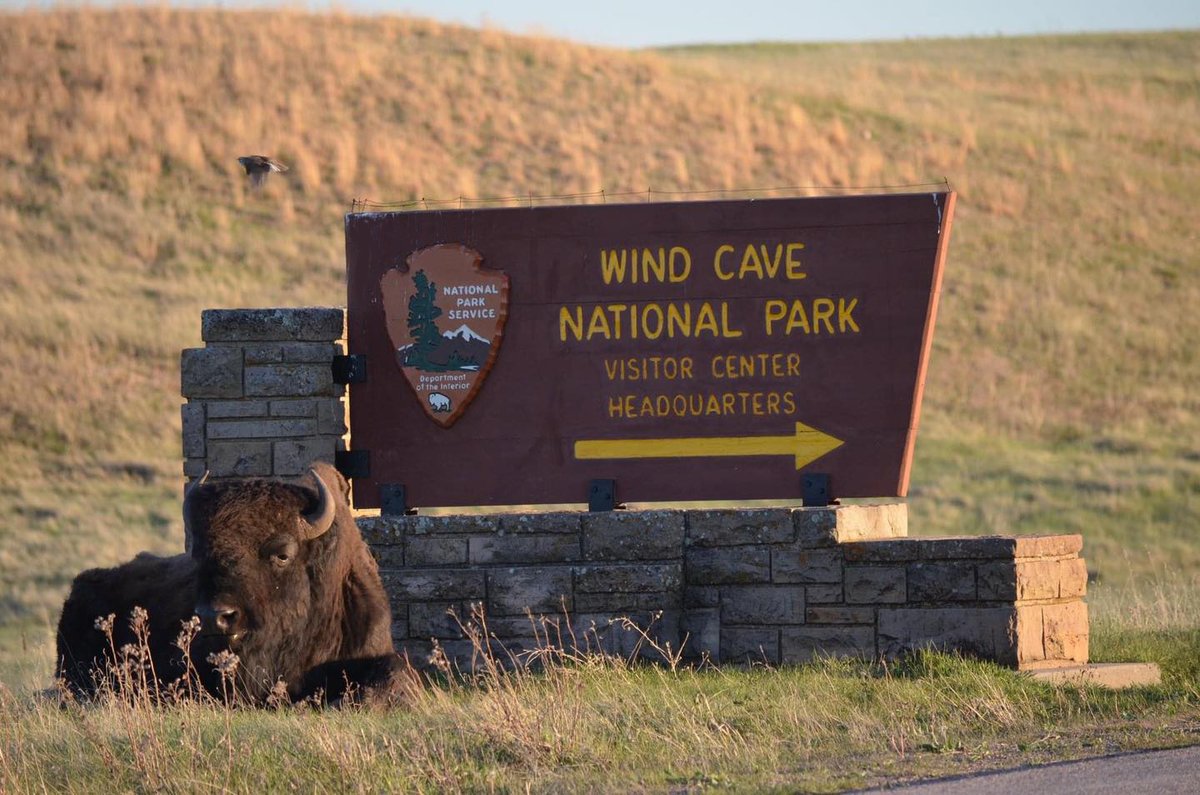 Did you know that national parks are economic engines in their communities? In 2023, visitor spending in communities near national parks resulted in a $55.6 billion benefit to the nation’s economy and supported 415,400 jobs.

Learn more at: nps.gov/subjects/socia…