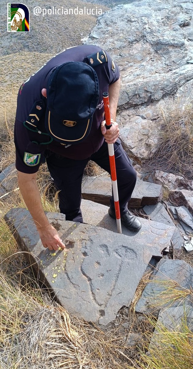 policiandalucia's tweet photo. 🗿¡Nuevo descubrimiento arqueológico en Andalucía!

🚔 Patrulla de @policiandalucia localiza dos piedras con grabados rupestres en la Sierra de Los Filabres, en #OlulaDeCastro #Almería
👉🏼 Se ha remitido el informe a @CulturaAND y Ayuntamiento 

#PatrimonioHistórico #Andalucía https://t.co/8S9UktPgmo