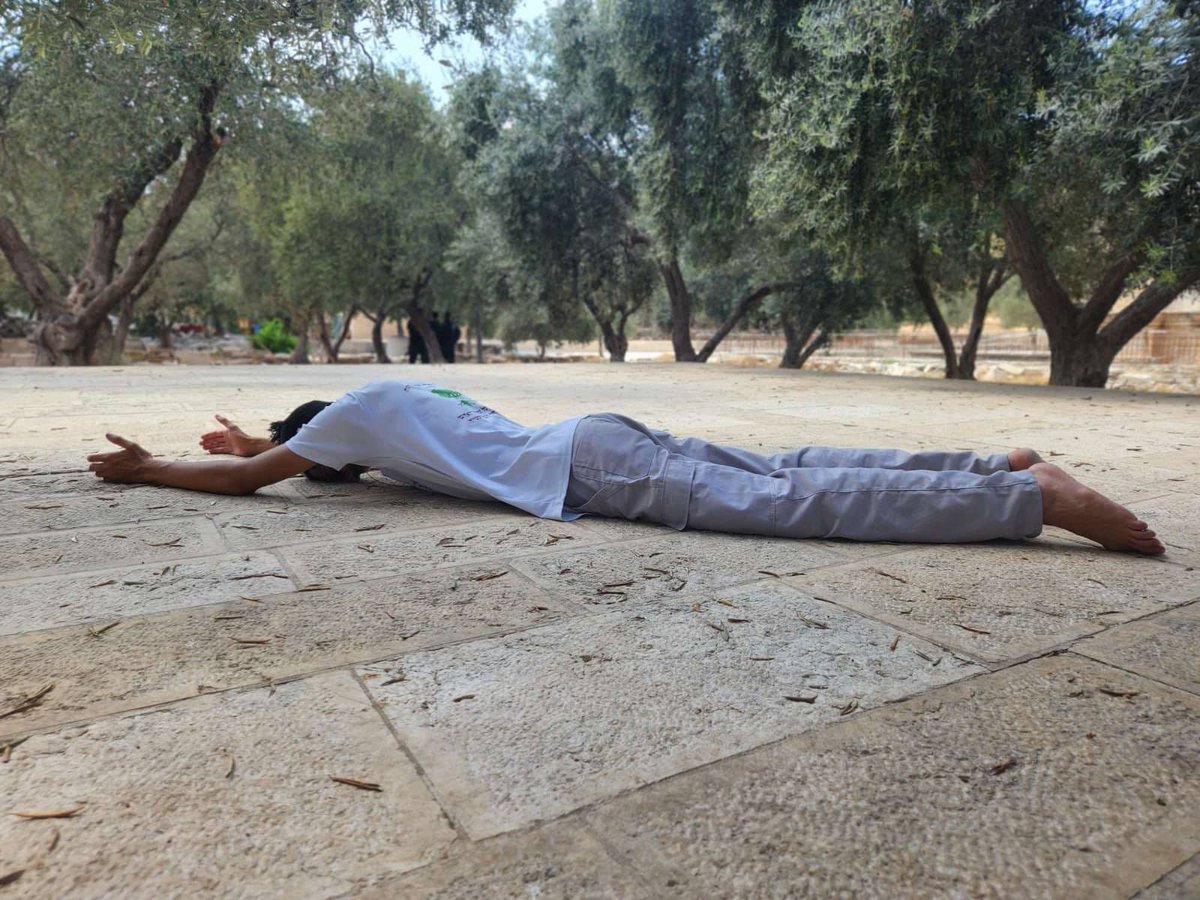 Nawrasabusaleh's tweet photo. هذه الطقوس التي يمارسها هؤلاء في المسجد الأقصى الذي أسريَ بنبينا إليه وبارك الله لنا حوله، وتسمى طقوس السجود الملحمي ، تتمثل في هذا الانبطاح في أرض المعبد كما يزعم هؤلاء . 
والله ما كنا سنشهد انبطاح هؤلاء في مسجدنا لولا انبطاح أمتنا . https://t.co/kOkclRceEk