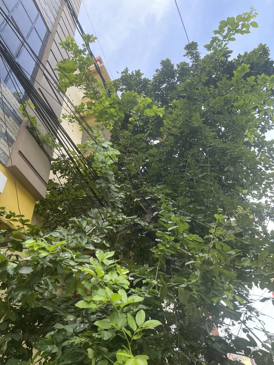 HYD CITIZEN tweet media