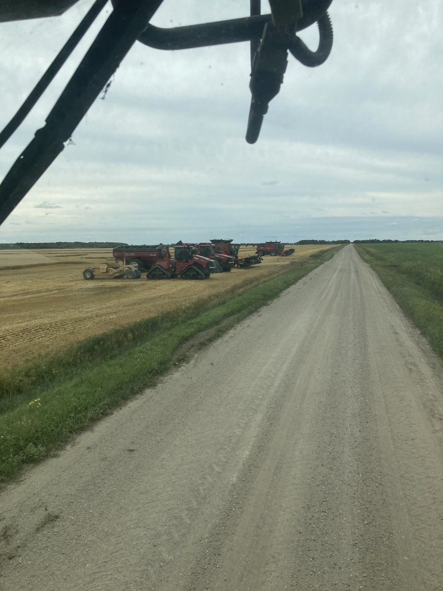 PDevloo's tweet image. Now that’s man power, scrapper following the combines like it’s part of harvest