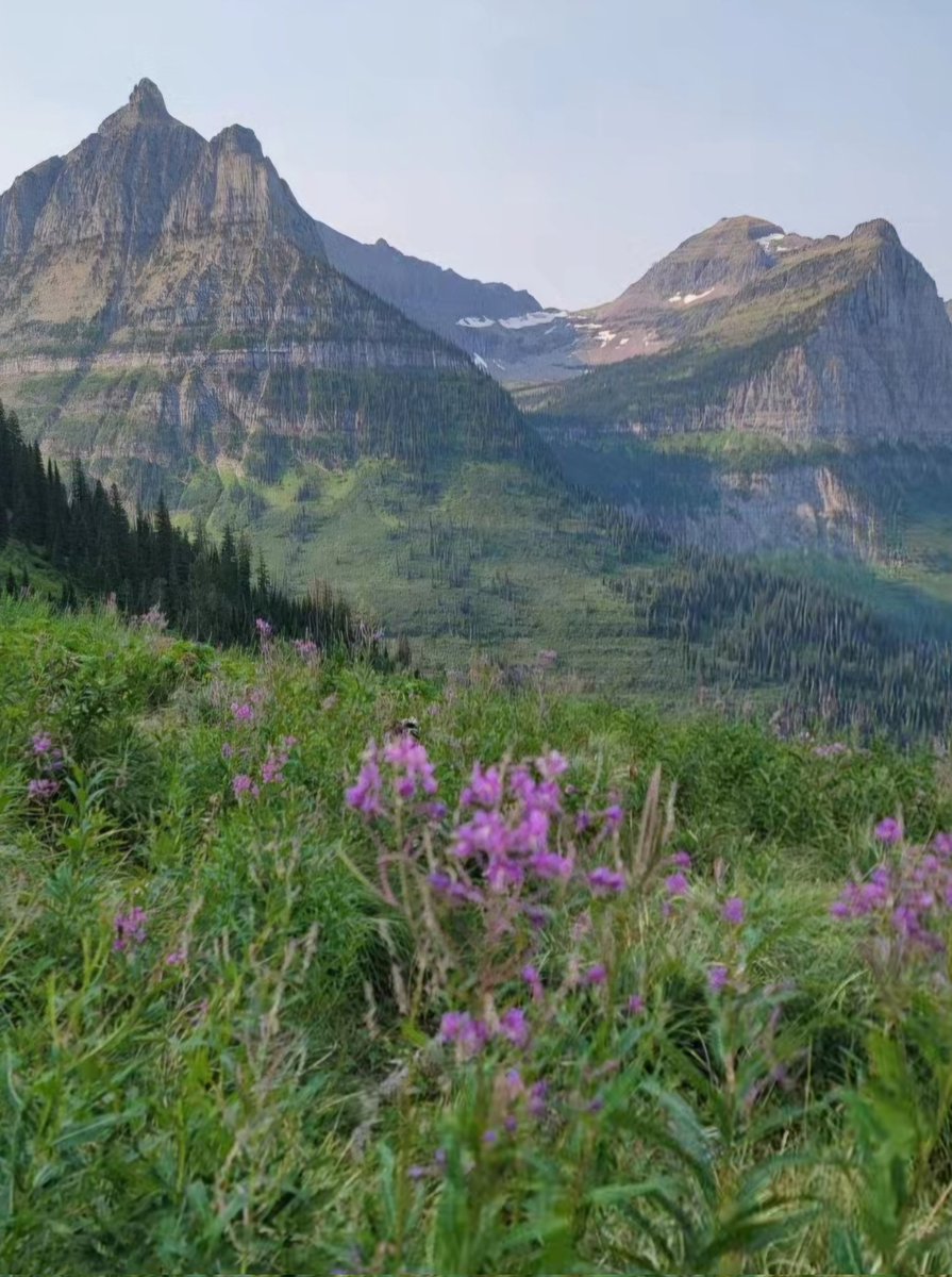 Dragon Energy tweet media