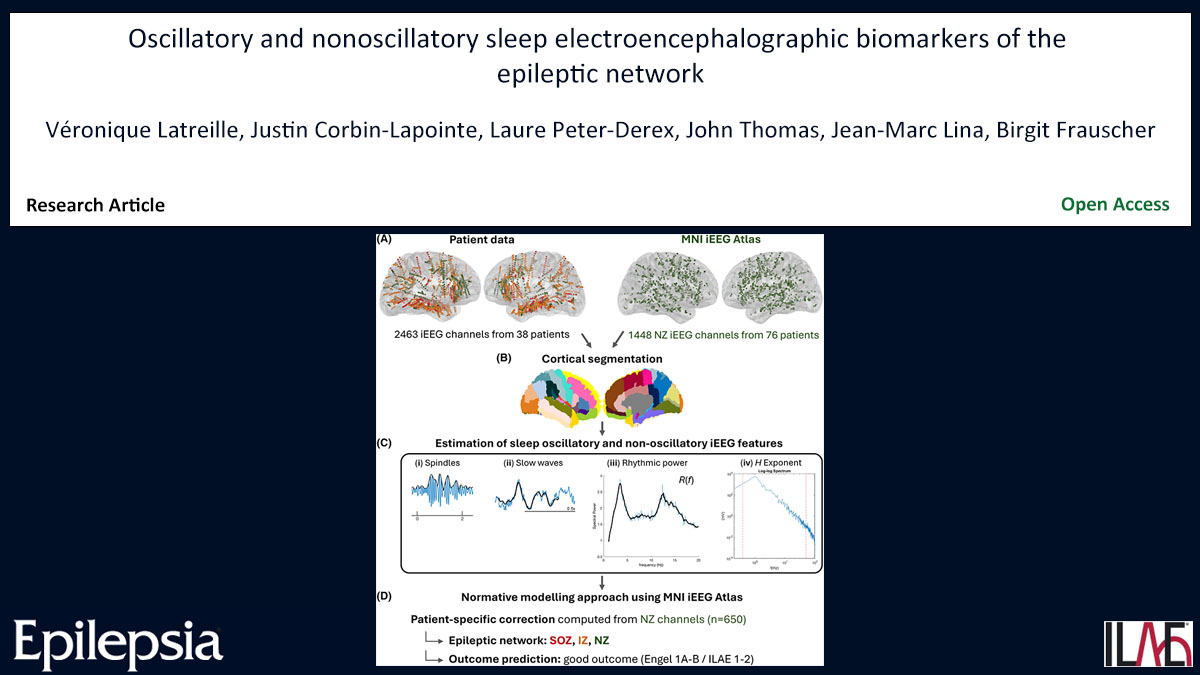 EpilepsiaJourn's tweet image. Key point: Specific NREM sleep oscillatory and nonoscillatory brain activity features are altered by the epileptic network.
doi.org/10.1111/epi.18… 

#epilepsy #ILAE #scalefree #sleeposcillations #sEEG #biomarkers @IlaeWeb @epilepsiajourn @WileyNeuro