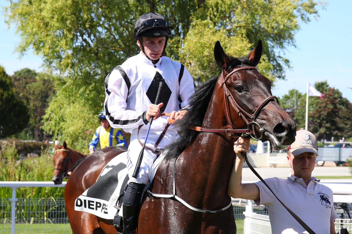 💥 Alexis Pouchin, l'homme du jour à Dieppe !

L'actuel troisième de la Cravache d'Or a réalisé une journée presque parfaite.

Sur les 8 courses du programme :

3⃣ victoires
4⃣ places
5⃣e du Quinté+
