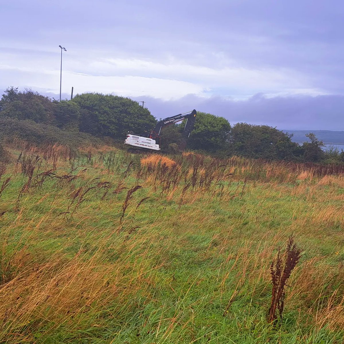 Fiontar Pobail Páirc Uile-Aimsire tweet media