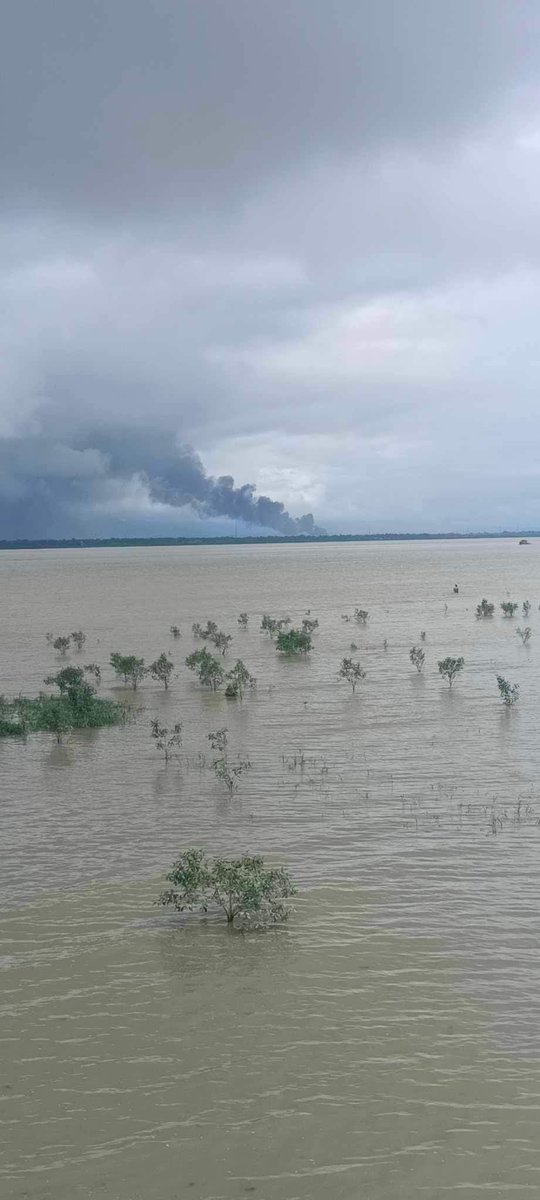 HamidurRo24708's tweet photo. In Mungdaw city Arakan State of Myanmar The #Rohingya homes are burning almost every day.The pictures below are the pictures seen from the Bangladesh side today(August 27th) at 20:00 in the afternoon.
#SaveRohingya
#NeedProtection
#NeedSaveZoon4Rohigya
#InArakanStateOfMyammer https://t.co/2nZR3rid3S