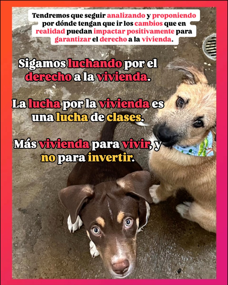 GatitosVsDesig's tweet photo. Sigamos luchando por el derecho a la vivienda.
La lucha por la vivienda es una lucha de clases.
Más vivienda para vivir, y no para invertir.
#GatitosContraLaDesigualdad #Catsplaining #RegulemosLaVivienda #DerechoALaVivienda #RegulemosAirbnb #ViviendaAdecuada #ViviendaAsequible #TaxTheRich #EatTheRich #ImpuestosALaRiqueza