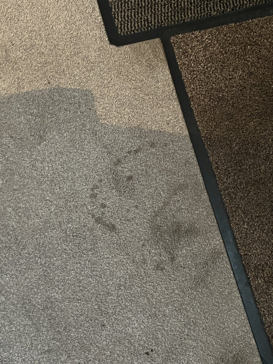 chezmilner's tweet photo. Hey @AmazonUK - the frozen blocks in paper bags https://t.co/YHggay4SLC shop deliveries.Can you have a rethink?when they arrive unfroze some don’t contain water&amp;are gel&amp;when they leak (the driver saying it’s water) it doesn’t come out the carpet. Ideas welcome #mrshinchhelpneeded https://t.co/2RS429Bztt
