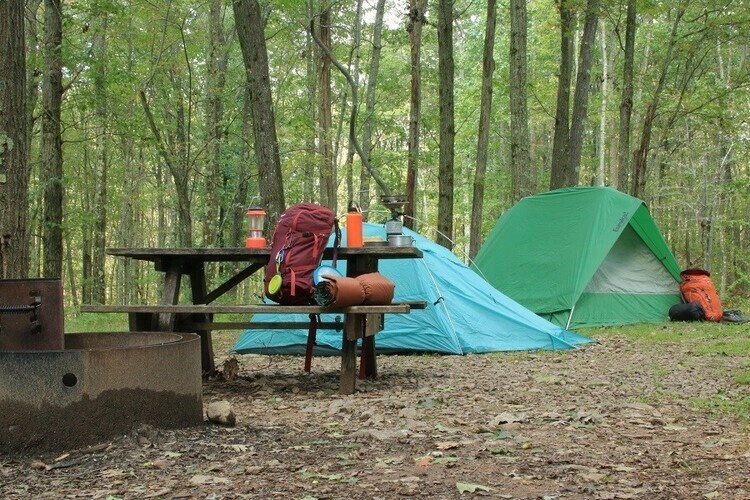 Camping in Greene County unlocks a world of simple pleasures - the scent of the woods, the symphony of crickets and birds, and the glow of a campfire under a starry sky. Immerse yourself in the beauty of nature with loved ones. #VisitGreene

🔗 visitgreene.org/2024/05/campin…