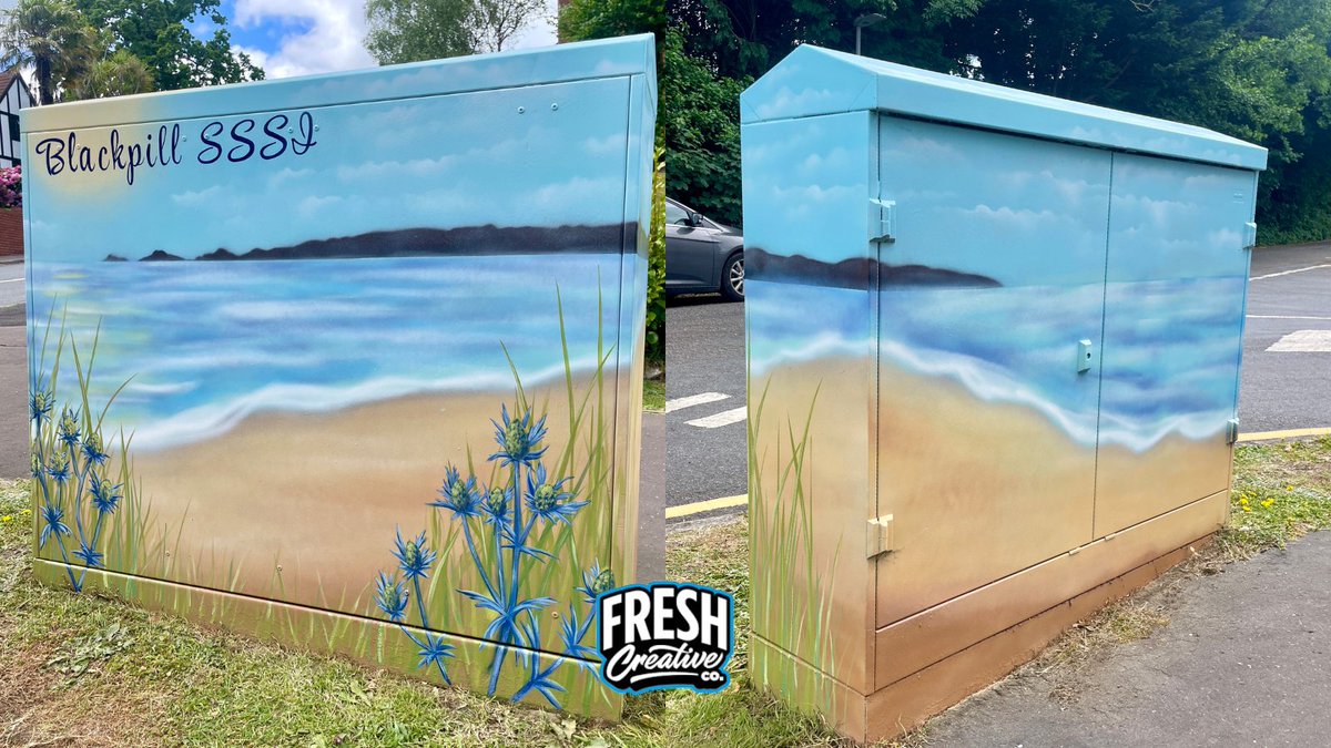 Blackpill SSSI🐚

Ffion has beautifully painted this mural on an electrical box in Heneage Drive, showcasing Blackpill SSSI.

With hand-painted marram grass and sea holly, the mural captures the natural beauty of Swansea Bay - have you spotted it yet?

#muralartist #graffitiart