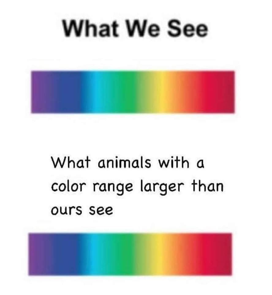 Factsofw0rld's tweet image. 