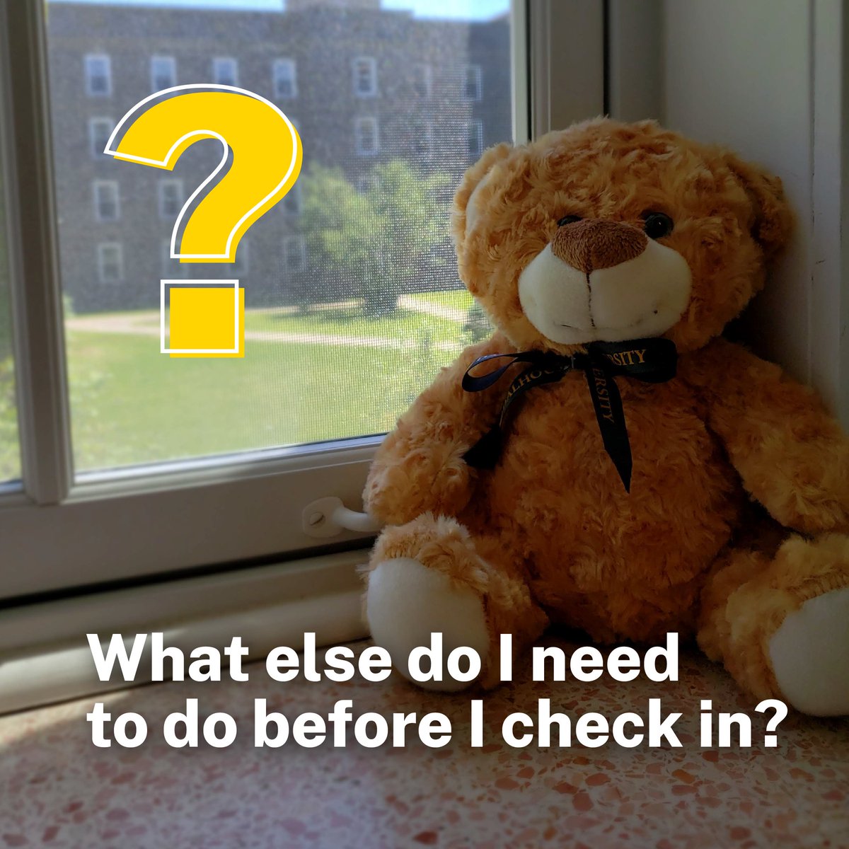 Make sure to read our Check In Checklist (see highlights) for everything you need to do before you check in. 

Don’t forget to upload your DalCard photo, set your DalCard PIN, and complete the Before you Arrive and Brightspace modules!