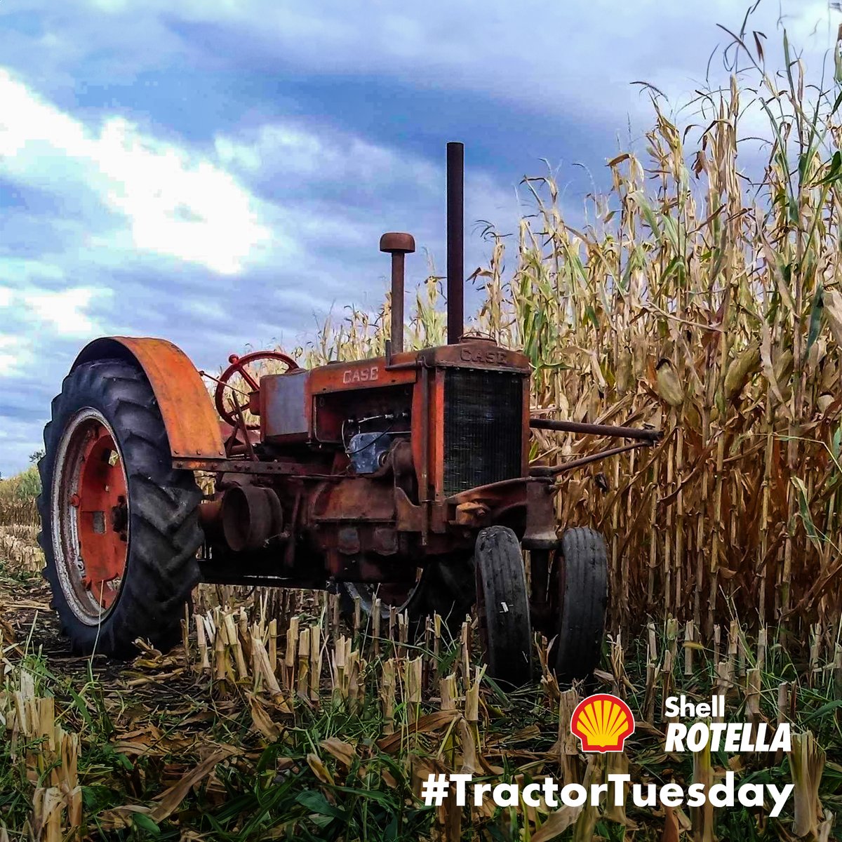 ShellRotella's tweet image. It&apos;s #TractorTuesday! Send us your tractor photos and tell us #ShellRotella helps you get the job done for the chance to be featured!

📸 Alex Van Dyke - 1937 JI Case CC