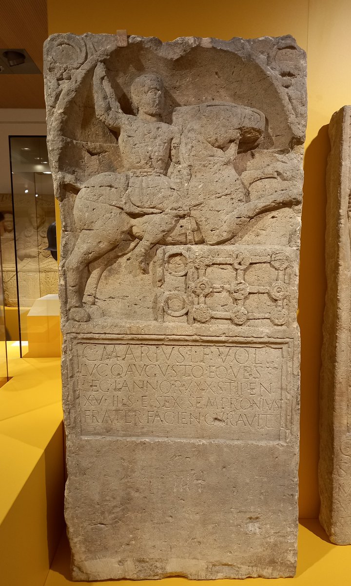 Dr Jo Ball tweet media