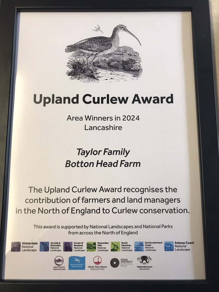 Honour to receive the Upland Curlew Award for Lancashire this year at North of England Curlew Conservation Awards with the National Landscapes and National Parks from across the North of England! Congrats to all other winners! #uplandfarming #curlew #uplandcurlewaward