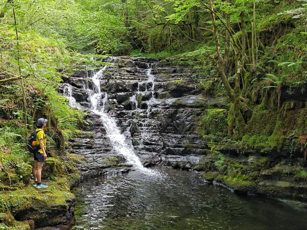 Javier Elena García tweet media
