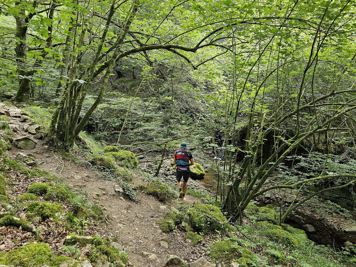 Javier Elena García tweet media