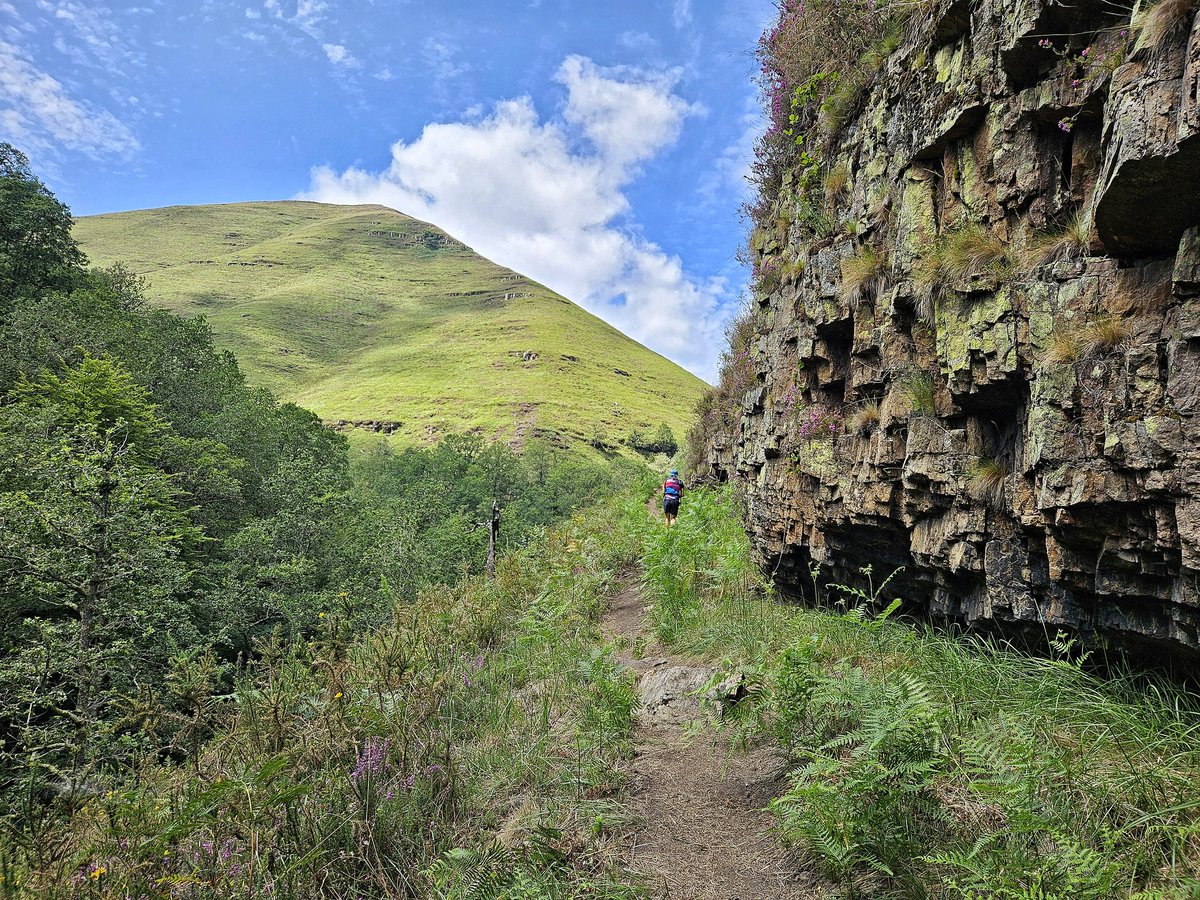 Javier Elena García tweet media