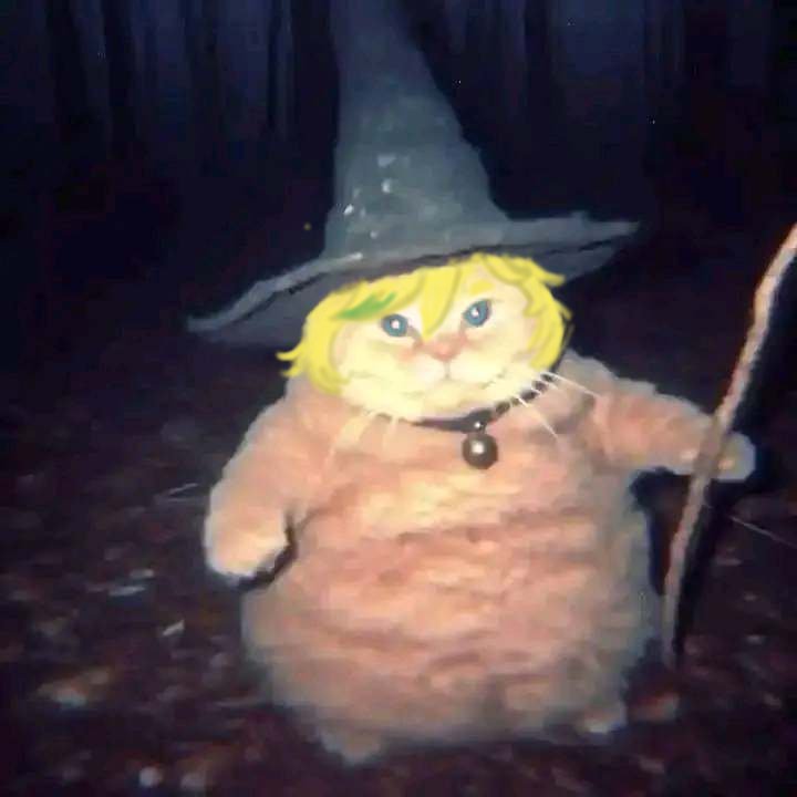 loveution's tweet photo. switch as witch cat https://t.co/vb6eISoZ7X