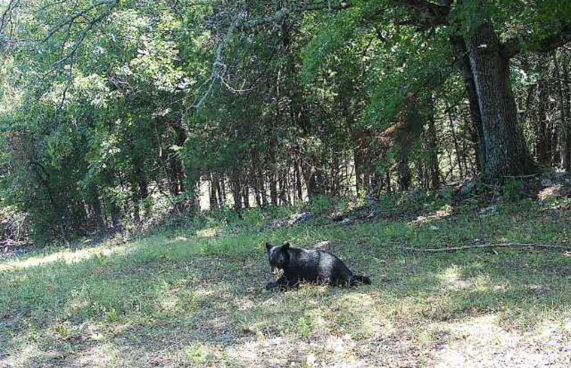 FarmServiceHunt tweet picture