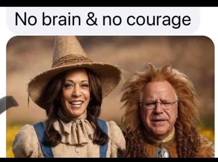 NavadniNimda's tweet photo. #PREVOD
Brez možganov & brez v hlačah
(Marxistični pregovor)
🥸 https://t.co/cXggmPpTNO