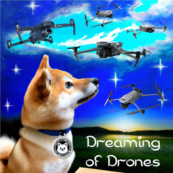 NoNumberFella tweet media