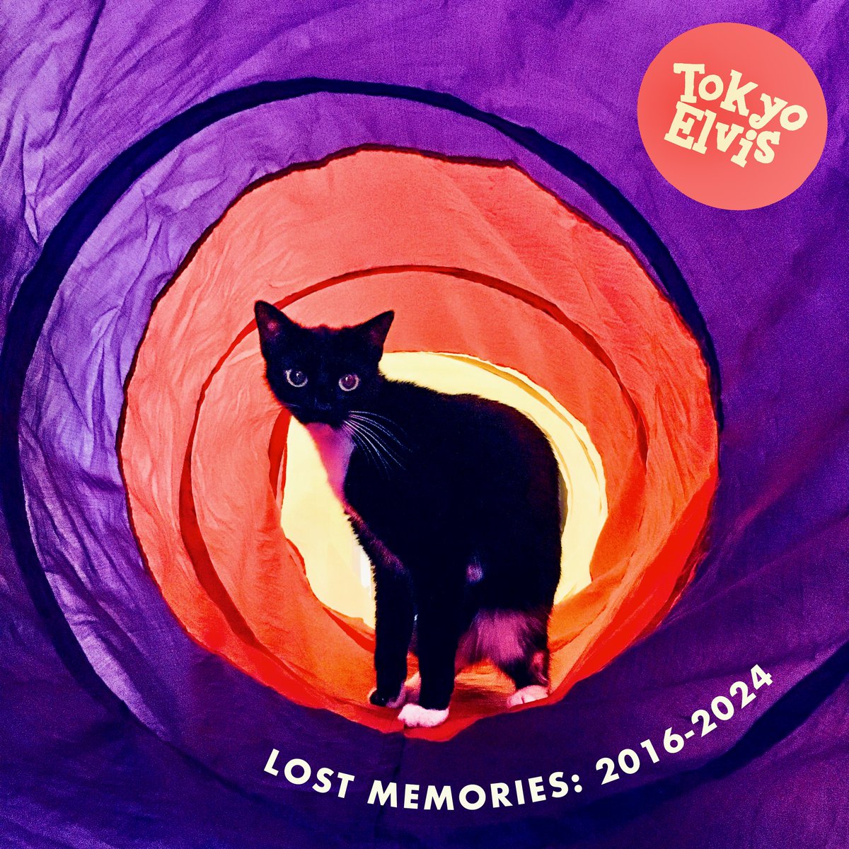 Lost Memories: Backstory ✨🎶